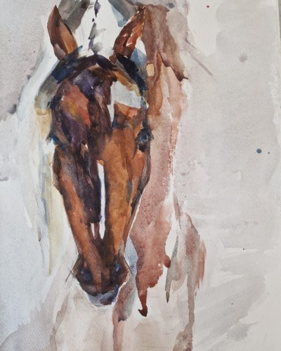 Лошадь Лошадь