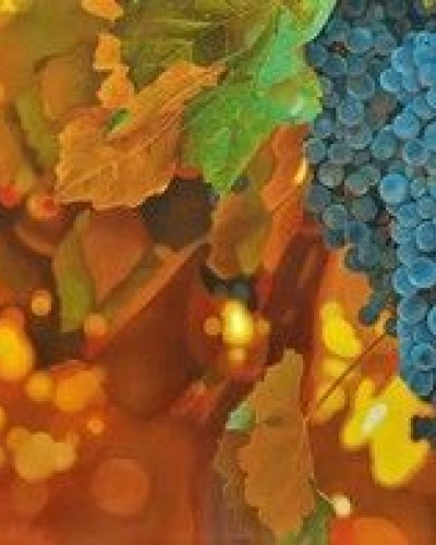 Виноградная гроздь