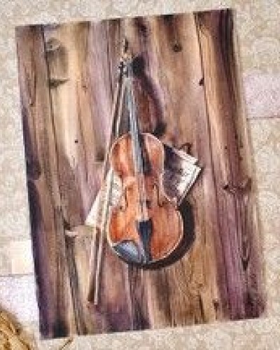 «Скрипка», 2017 г.