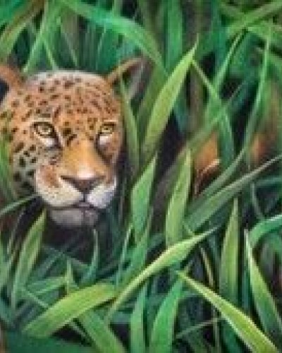 Леопард Леопард