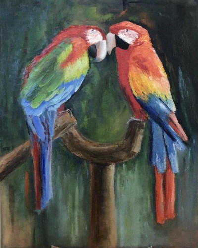 Попугайчики Попугайчики