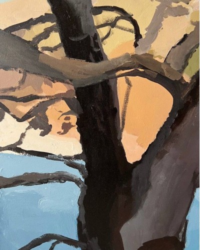 Картина Ствол Дерева Картина Ствол Дерева