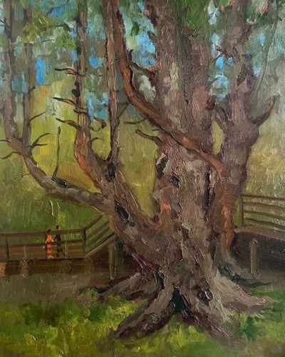 Материнское дерево Материнское дерево