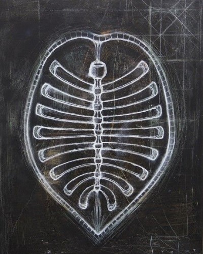 БИОФОРМА 1 БИОФОРМА 1