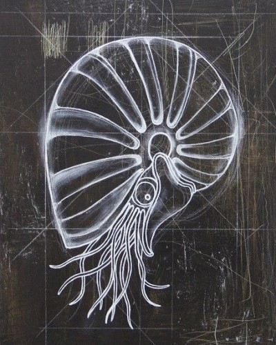 БИОФОРМА 2 БИОФОРМА 2