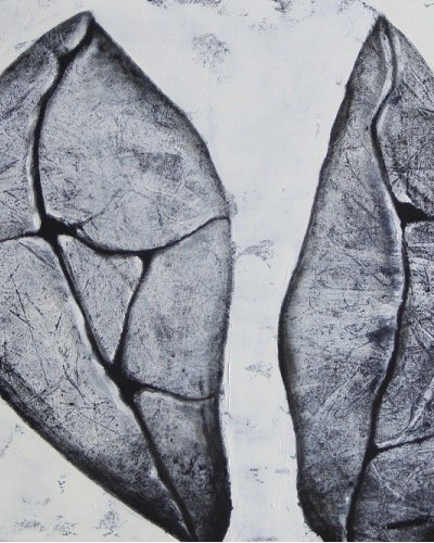 БЛИЗНЕЦЫ БЛИЗНЕЦЫ