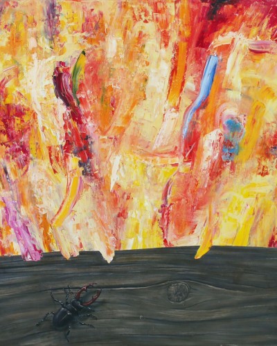 Жук-олень Жук-олень