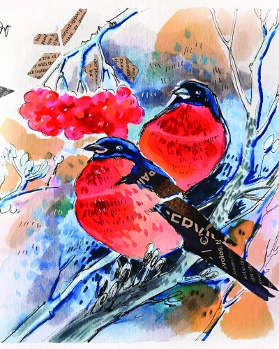 Снегири Снегири