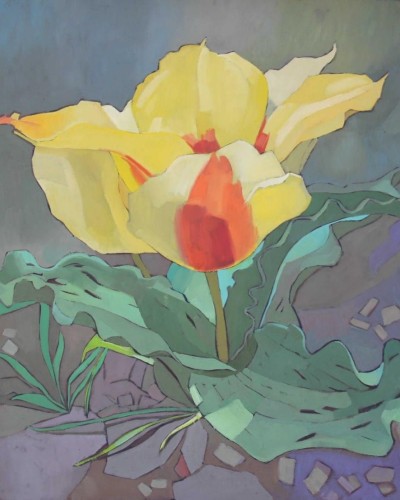 Бутон тюльпана Грейга-2