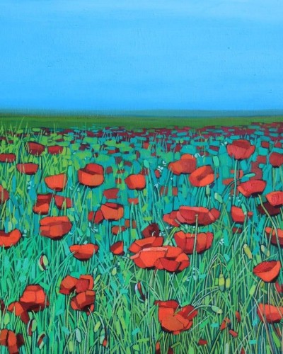 Алматы. Маковое поле