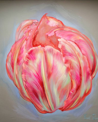 Тюльпан на сером фоне Тюльпан на сером фоне